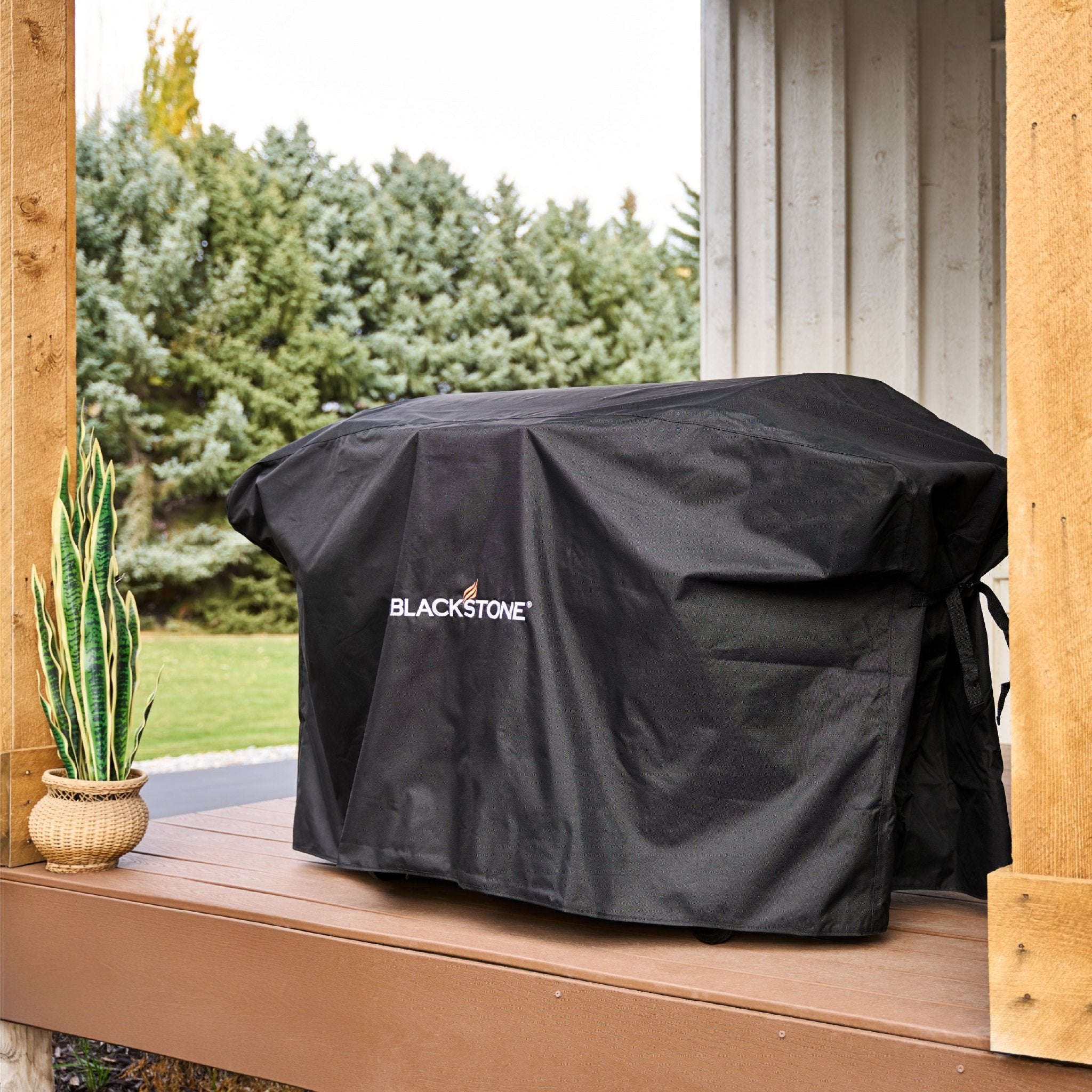 36" Griddle with Hood Bundle